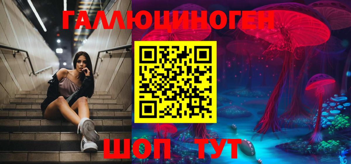 наркота  Галлюциногенные грибы MAGIC MUSHROOMS  Вход с VPN  Севастополь 