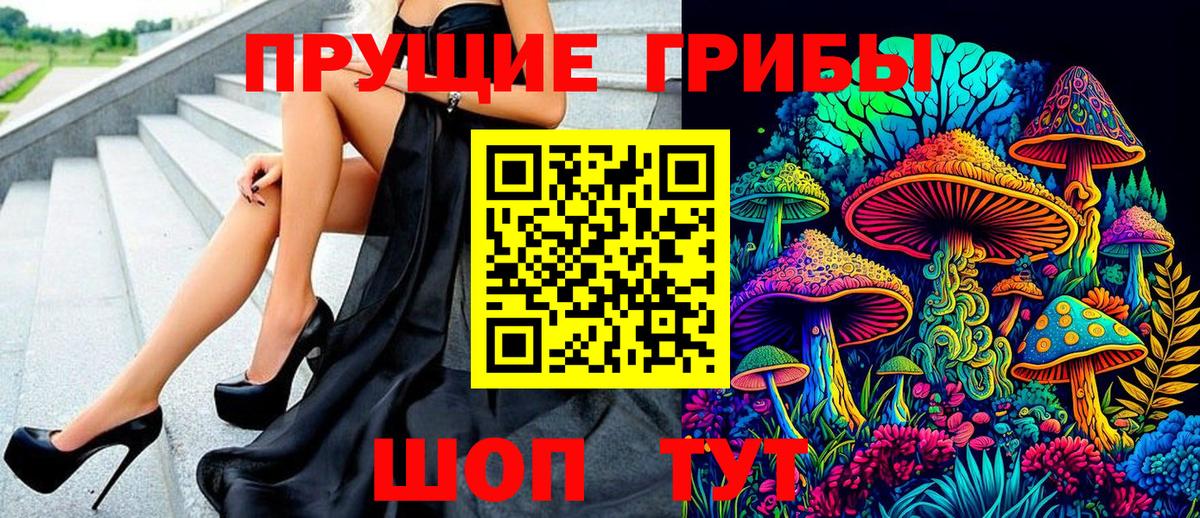Псилоцибиновые грибы Psilocybine cubensis Севастополь